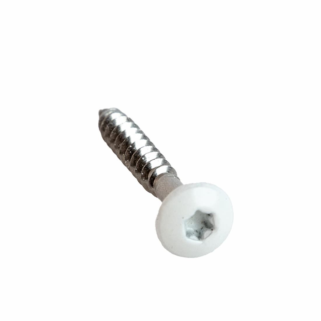Image?Src=%7B%22File%22%3A%22Wp Content%2Fuploads%2F2024%2F06%2Fmounting Screws White W Denpanels