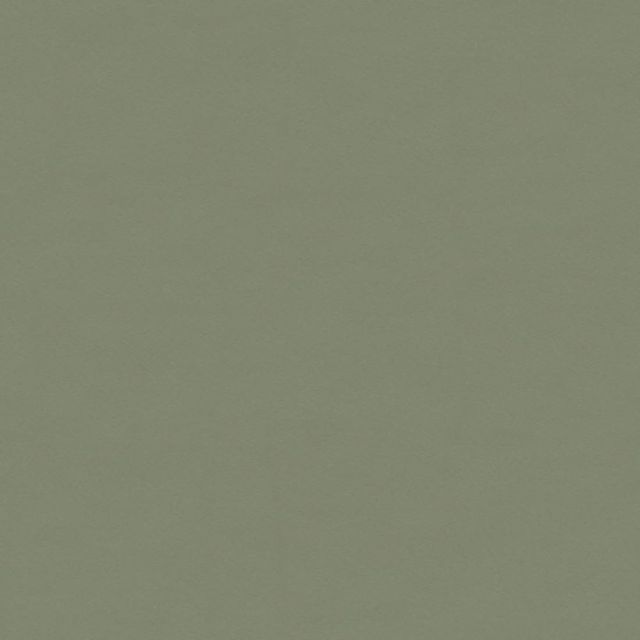 Olive 1B25D1B7 Denpanels